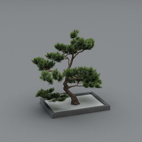 Mini Pine Tree 3D Model for Creative Designs