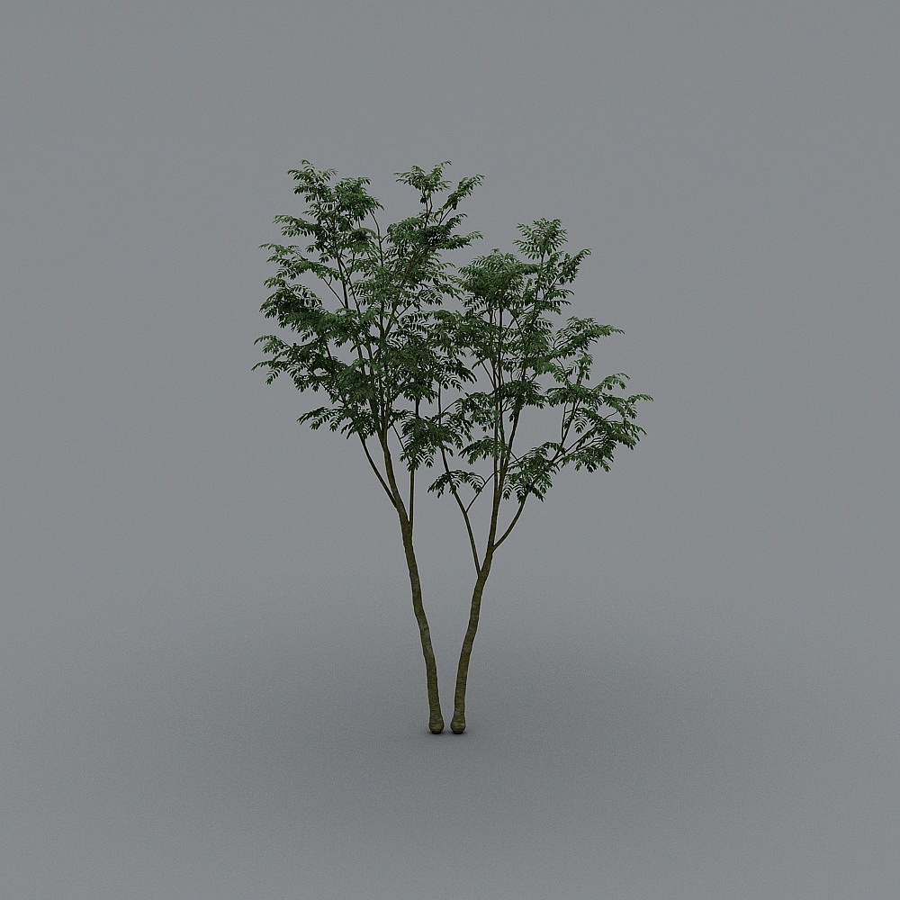 Arbres couramment utilisés 35 éléments