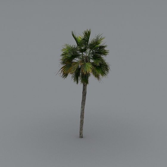 Low-Poly Palm Tree 3D Model