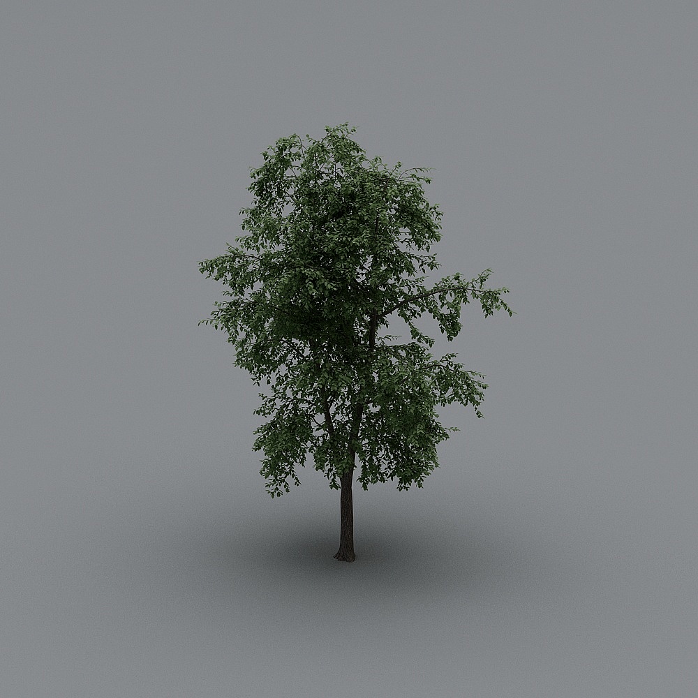 Vibrant Low-Poly 3D Tree Model