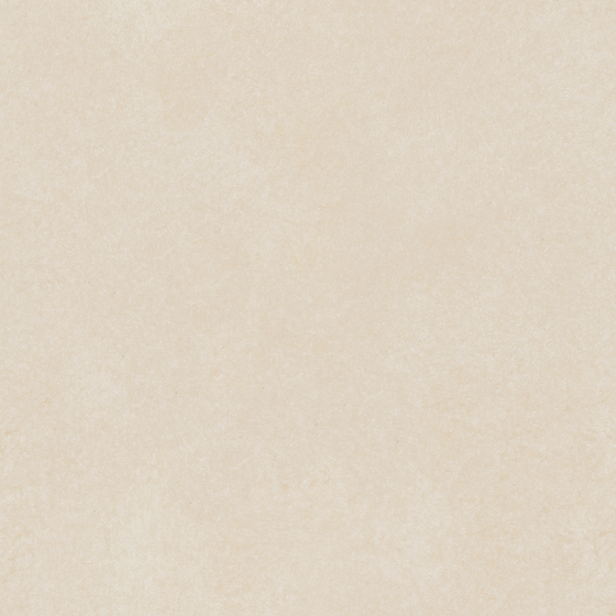 Beige Silk Wall Paint