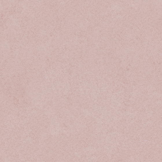 Silk Wall Paint 3D Model in Earth Color