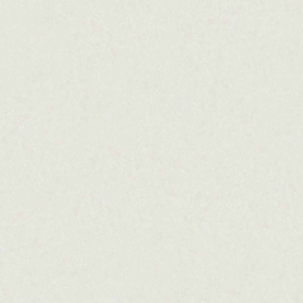 Silk-wall paint/paint