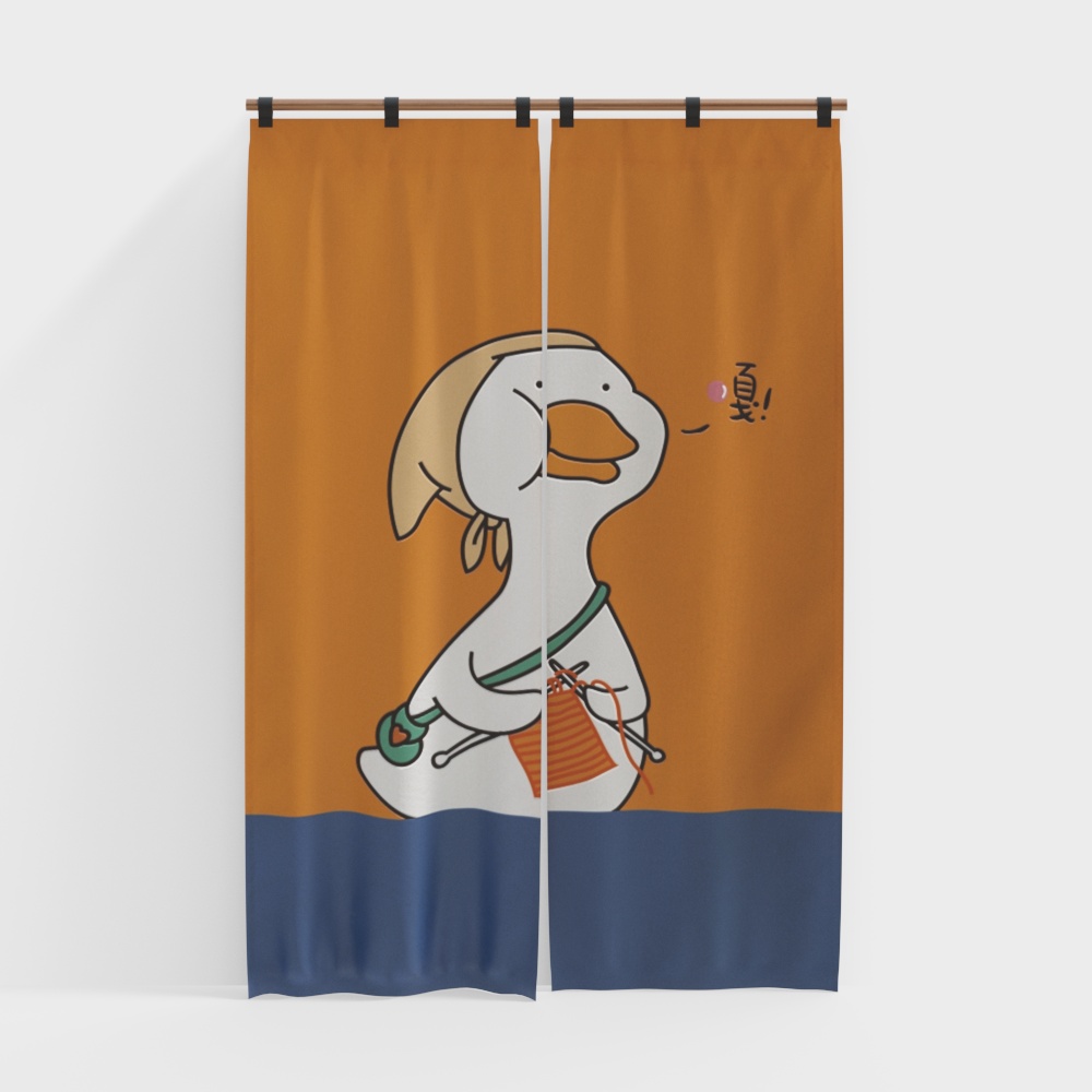 Modern door curtains