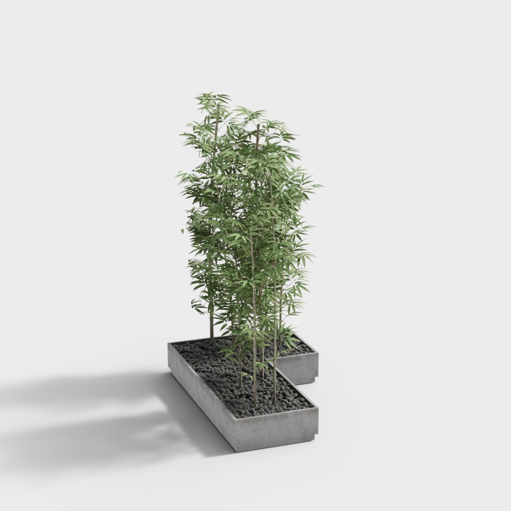 Modern Minimalist Bamboo Potted Plant 3D model
