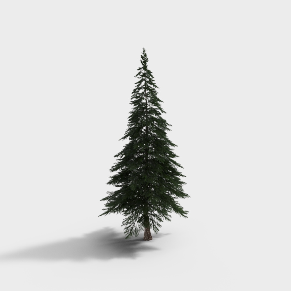 Realistic Pine Tree 3D Model – Low-Poly Natural Design