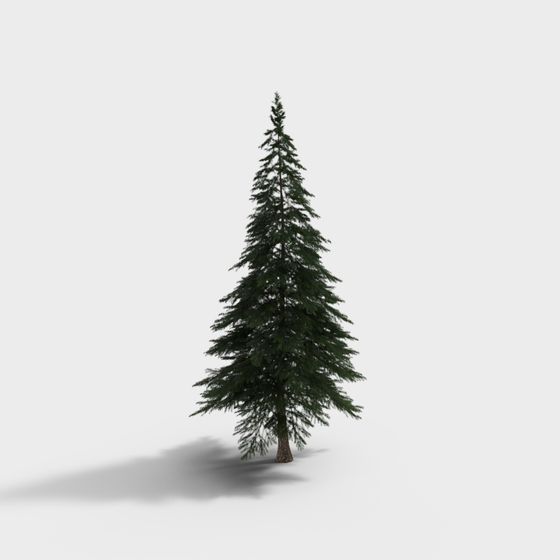 Realistic Pine Tree 3D model for Creative Projects