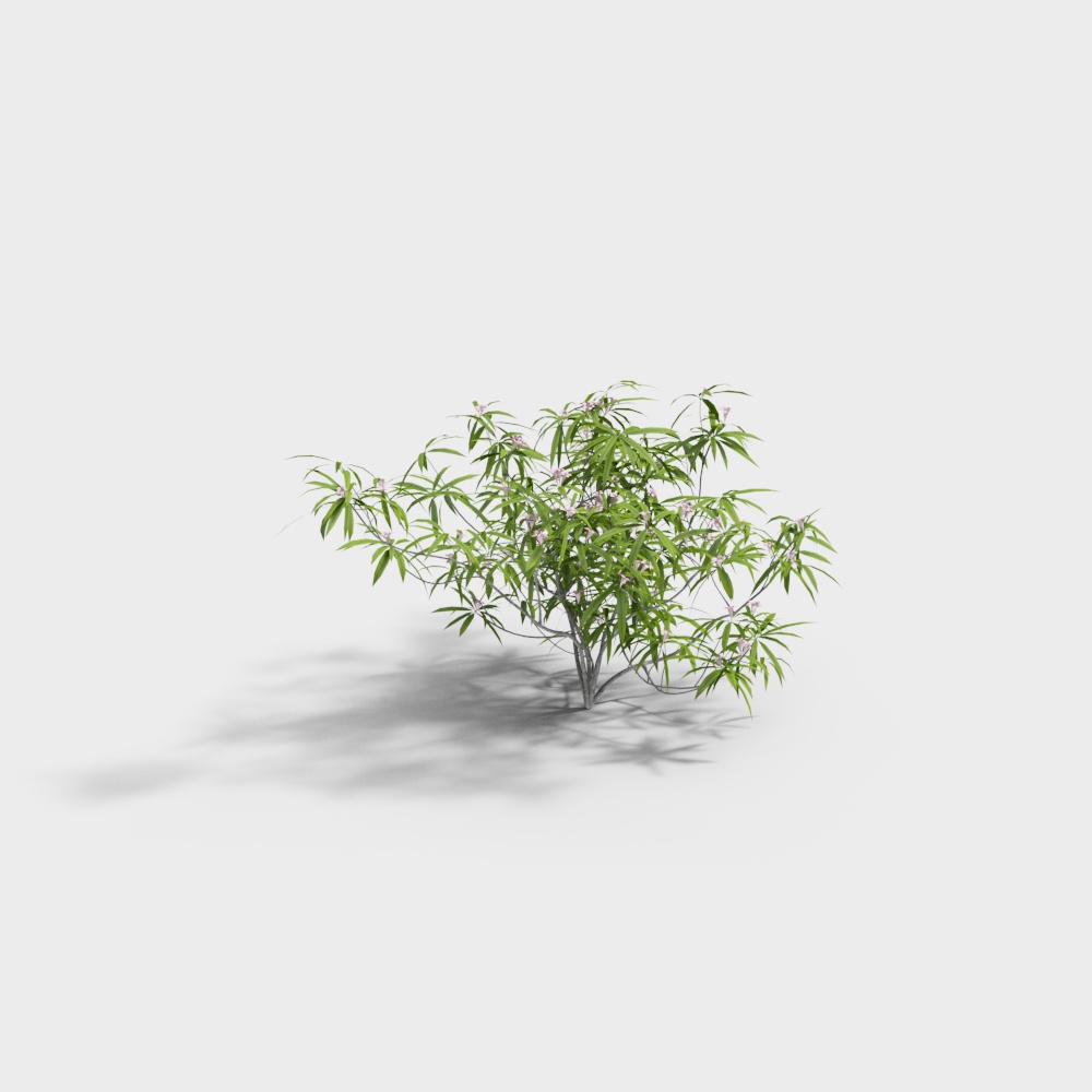 Bamboo sketch model-BS