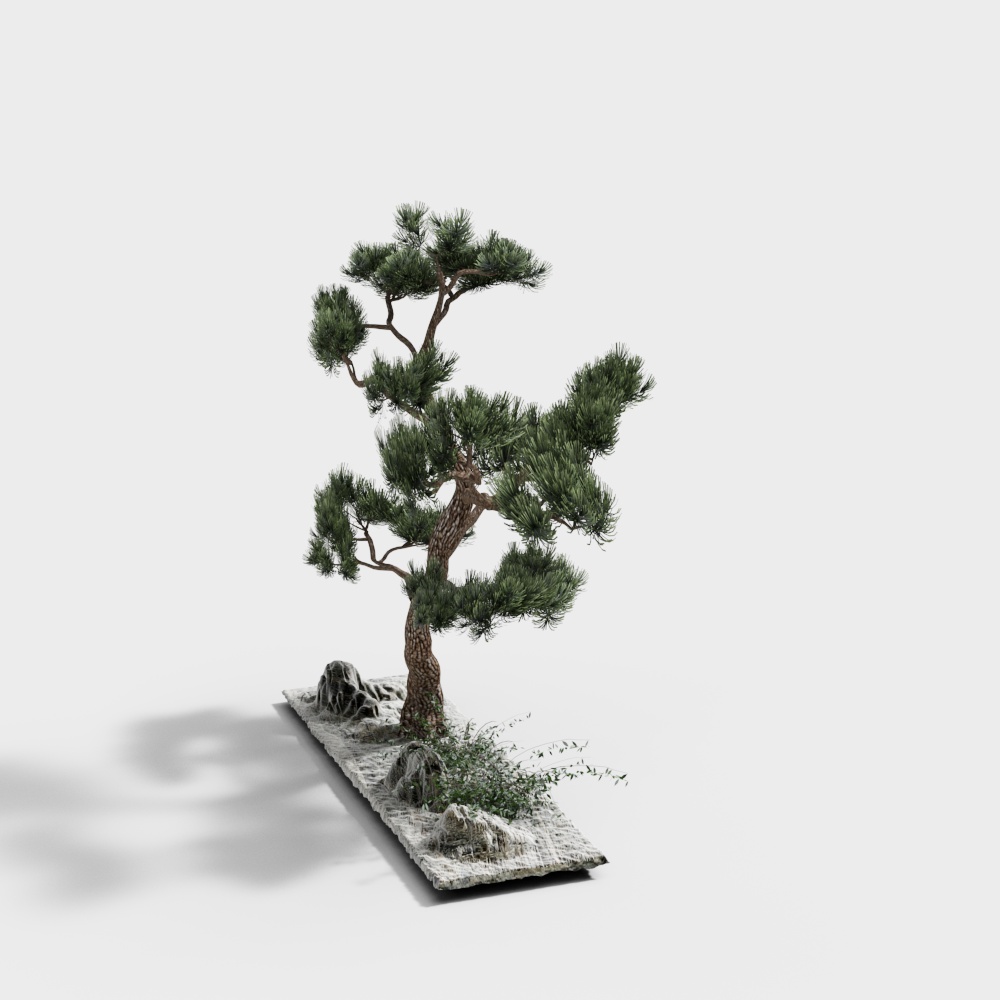 スキット YR10.27