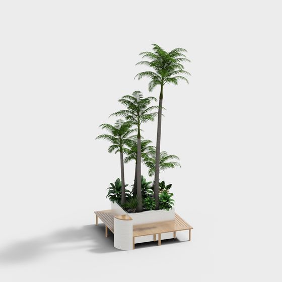 Tropical Palm Tree and Bench Garden 3D model for Creative Spaces