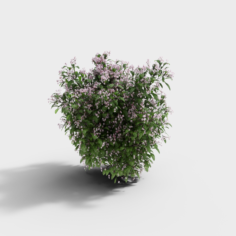 Buisson paysager 1 modèle de précision-BS