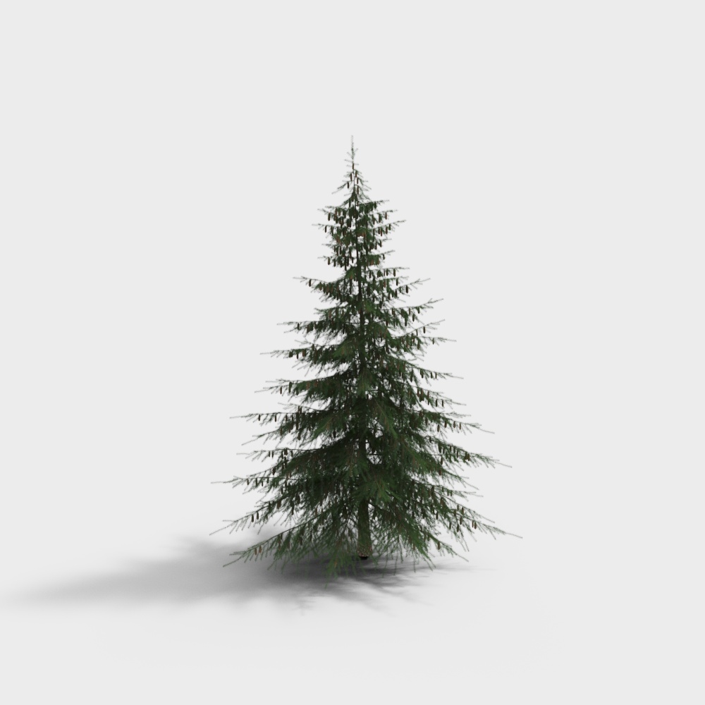 Arbre à aiguilles 2-BS