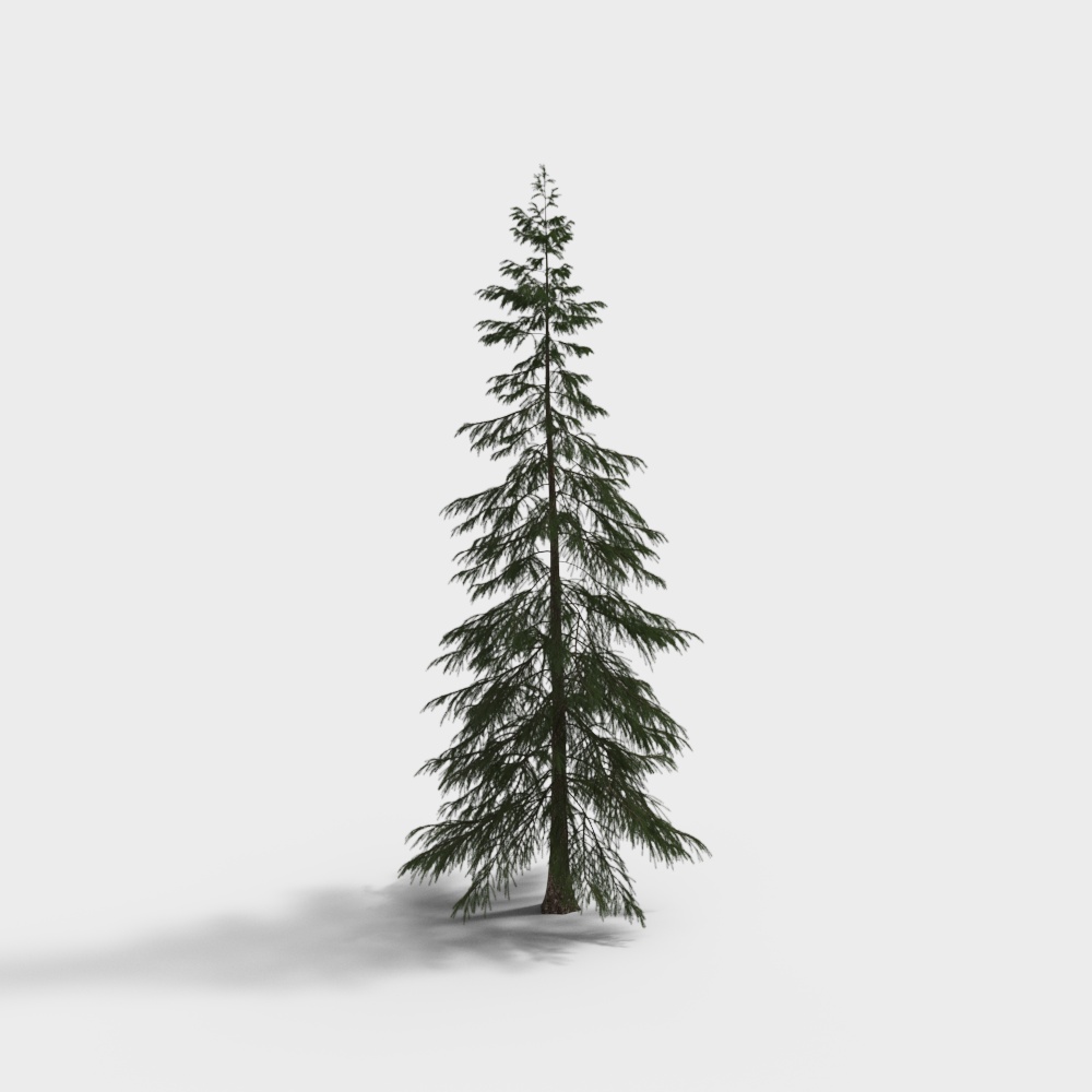 Realistic Low-Poly Pine Tree 3D model