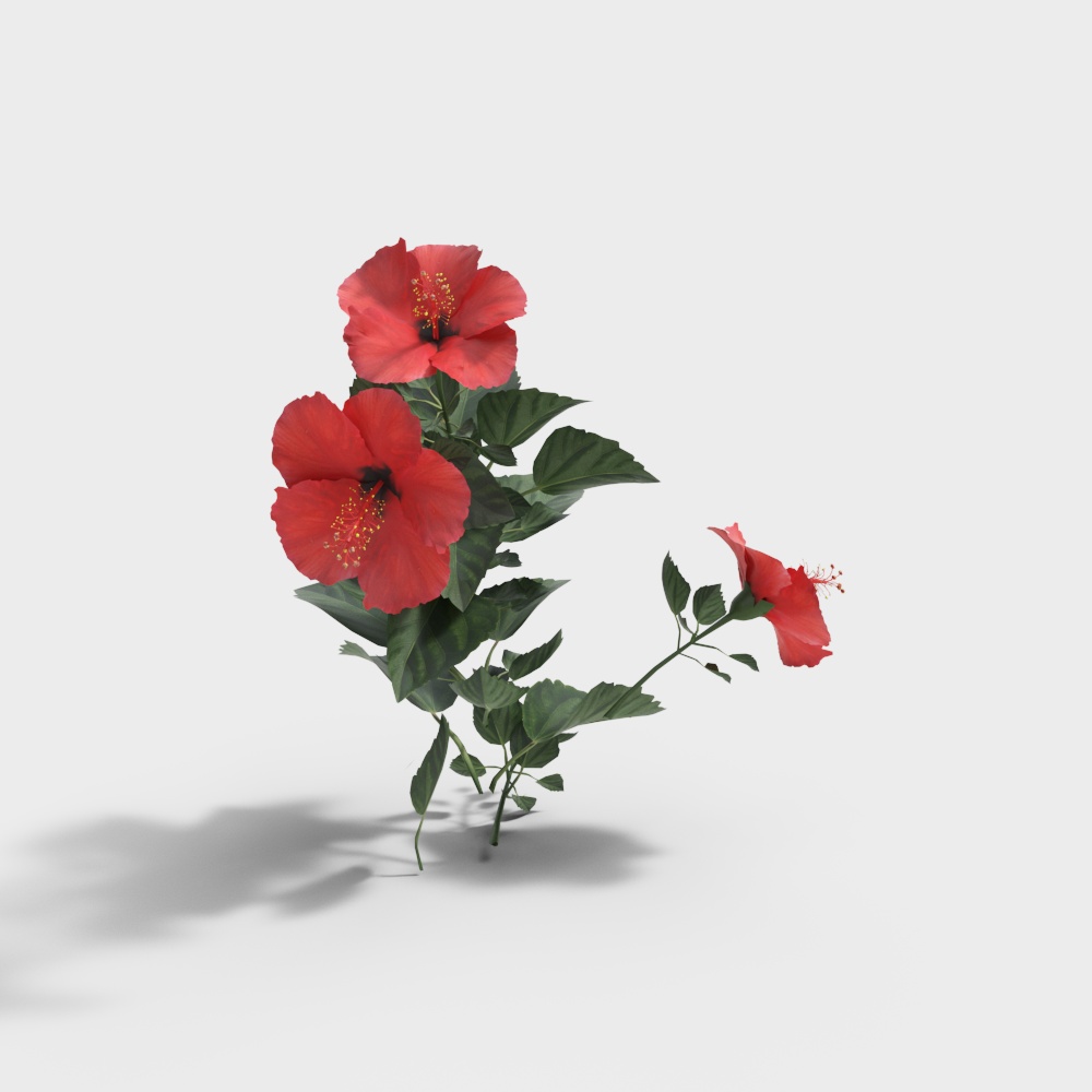 風景花卉與植物 2 精密模型-BS