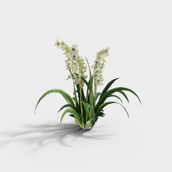 Elegant Low-Poly Orchid Cluster 3D Model for Designers