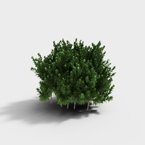 Lush Dome Shrub 3D model