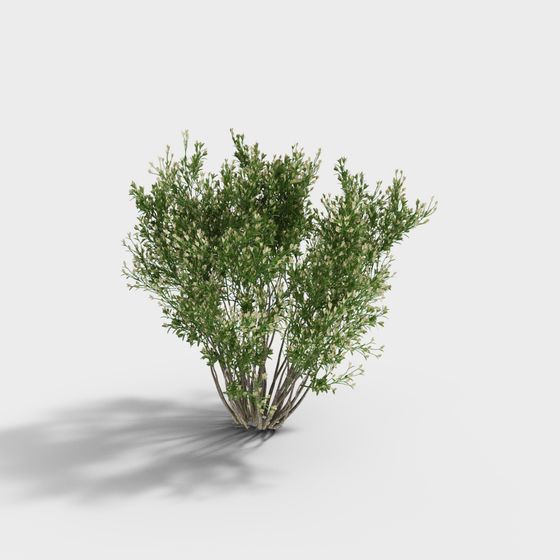 Wildflower Bush 3D Model for Vibrant Environments