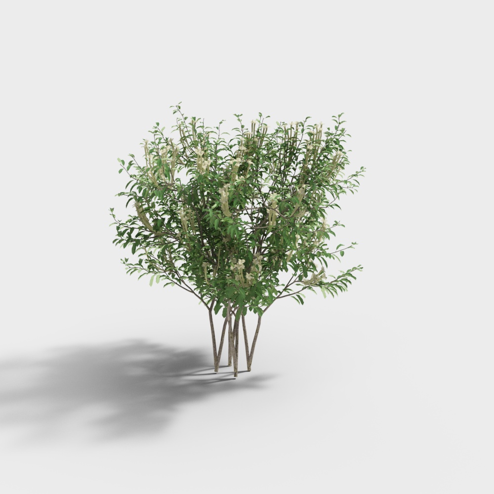 Landscape Shrub 3 Precision Model-BS