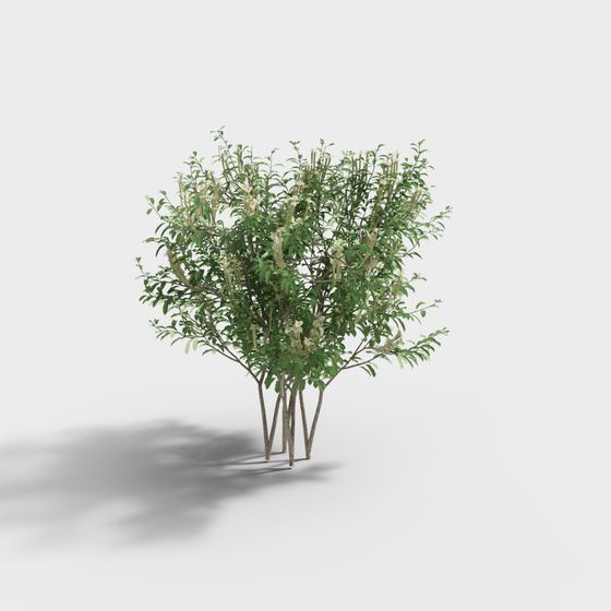 Garden Sprite 3D Model - Low Poly Design