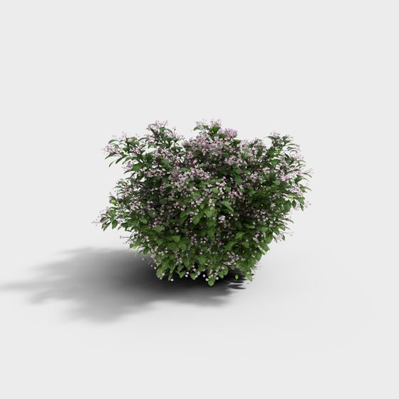 Low Poly Detailed Purple Flower Shrub 3D model