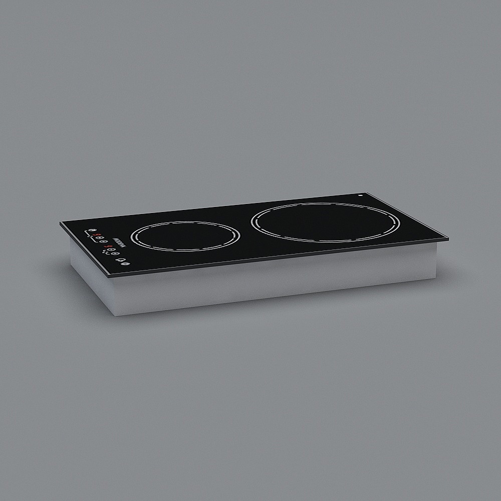 Induction Cooker