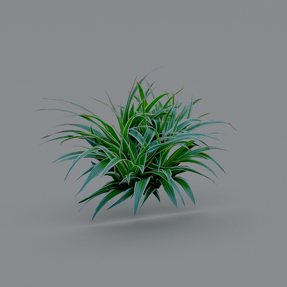 Chlorophyll Low-Poly Plant 3D Model