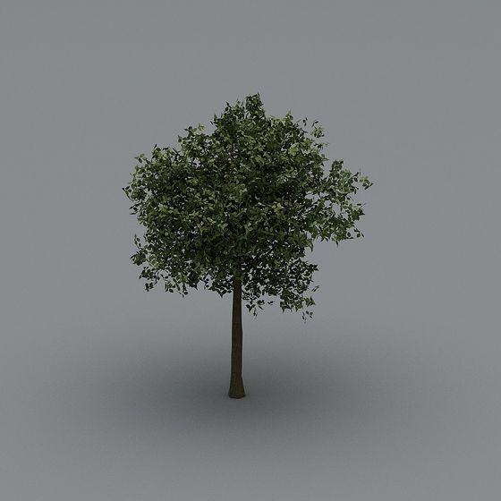 Vibrant 3D Tree Model for Creative Projects