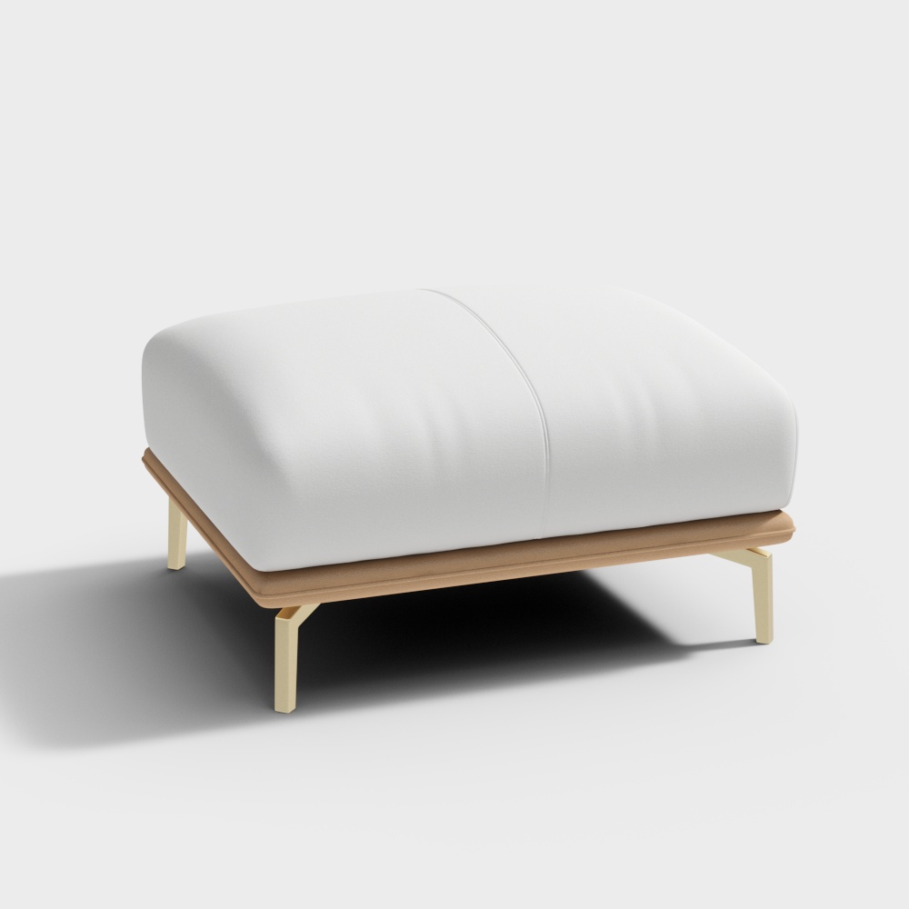 Cortical Foot - BSVSGS97 -Vivian