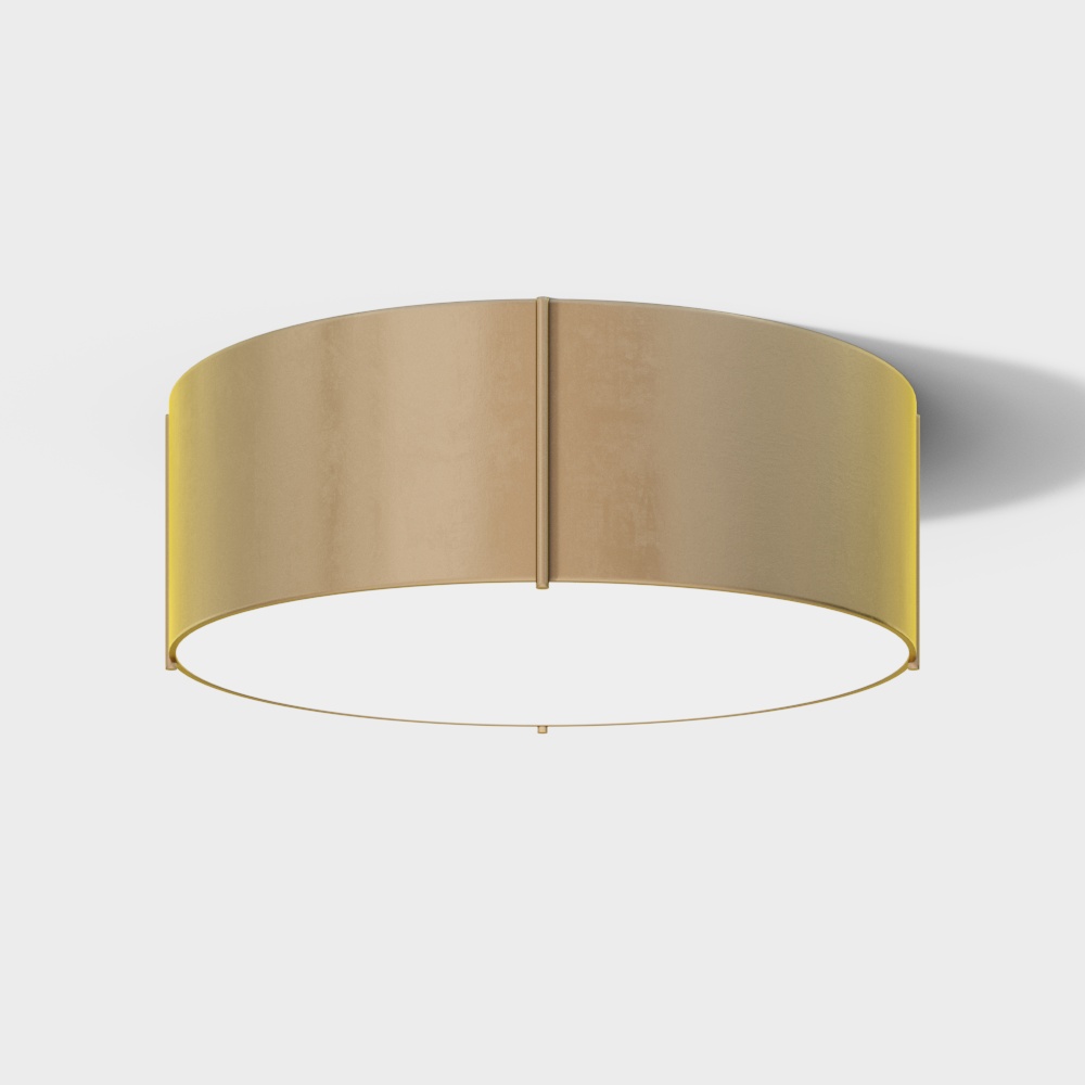C02 - Luce da Soffitto