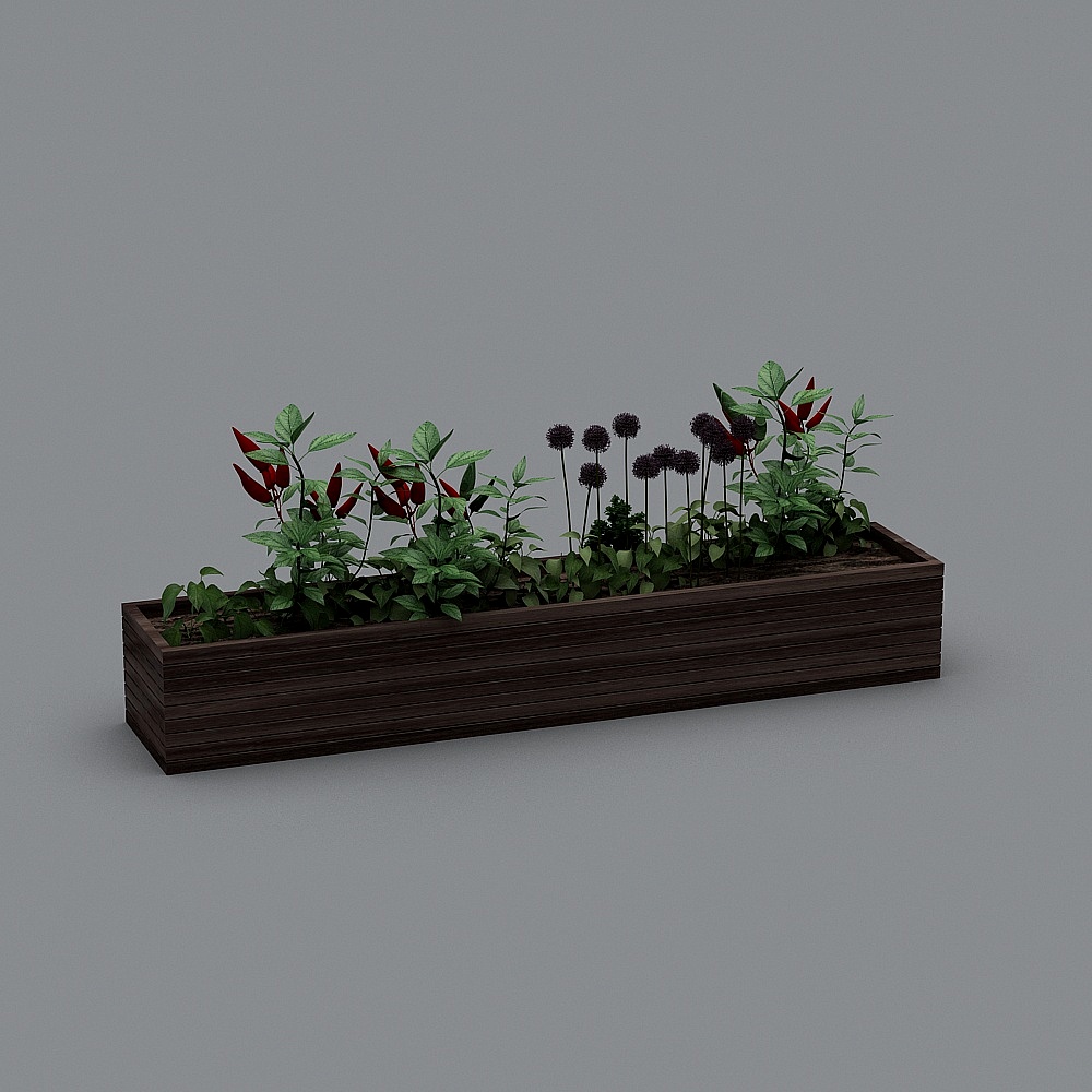 Thực vật ngoài trời 26