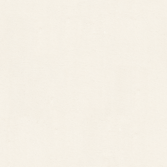 Micro Cement Gray Wall Paint 3D Model for Stylish Interiors