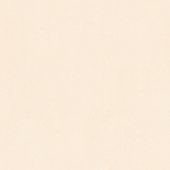 Microcement Wheat Color WSN-RS09-4 3D Model