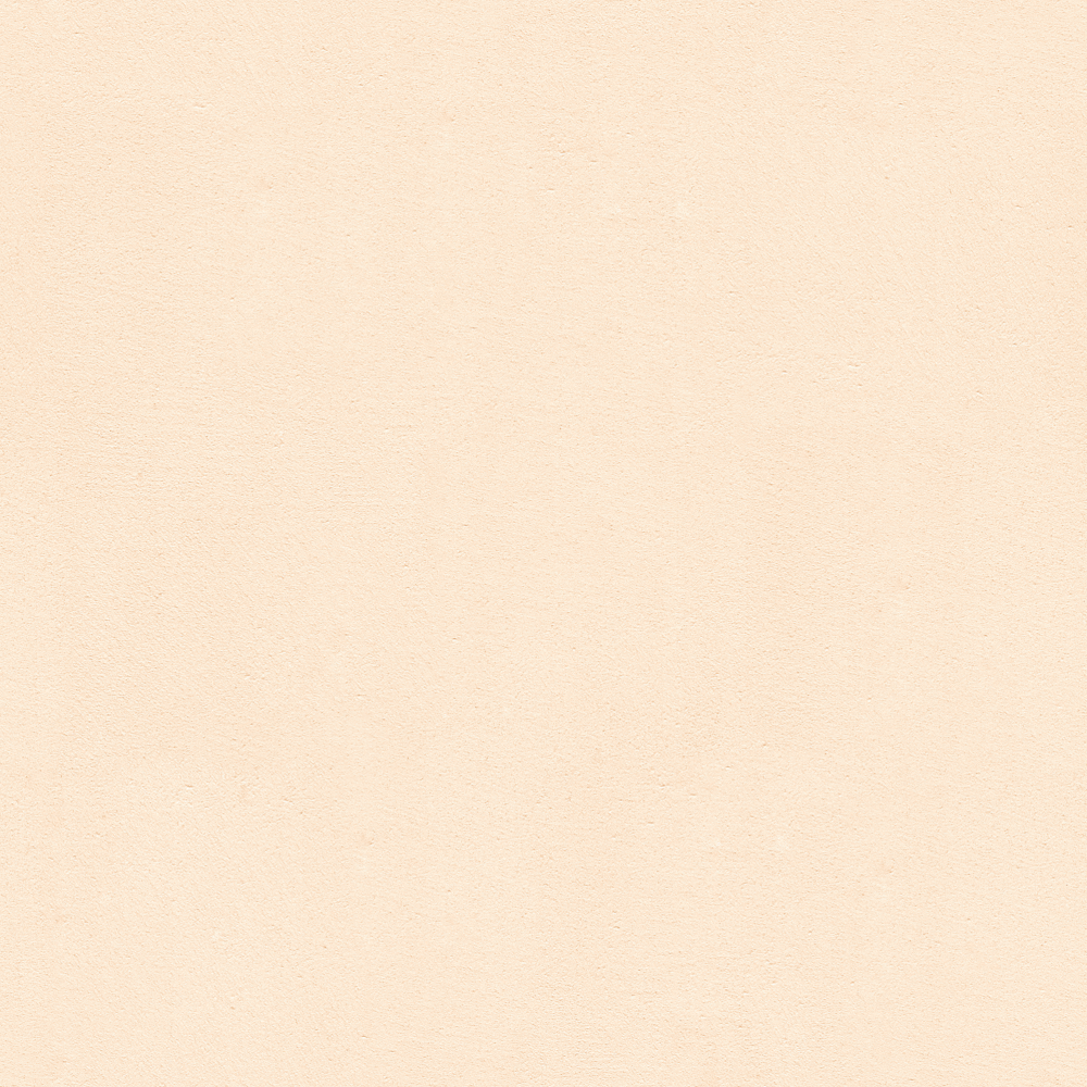 Microcement wheat color WSN-RS09-3