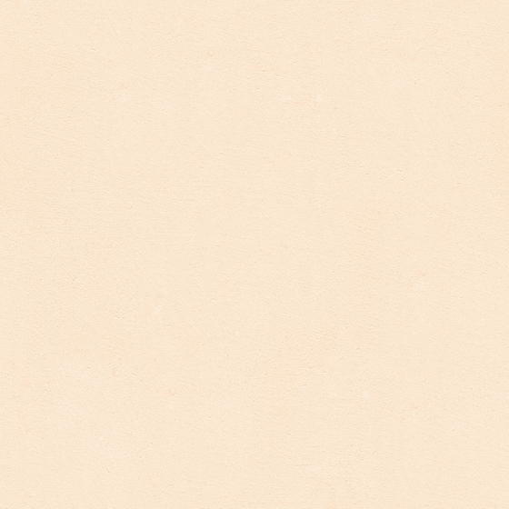 Beige Microcement Wheat Color Wall Paint 3D Model