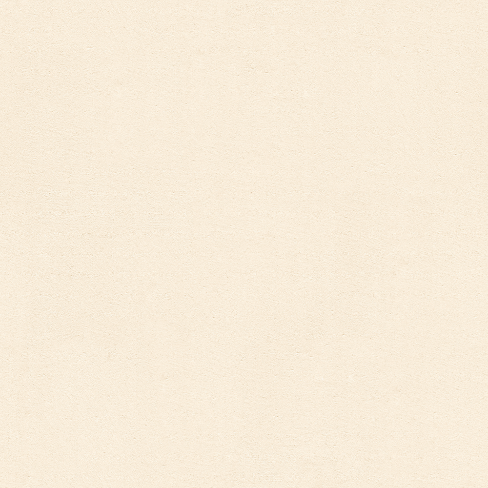 Microcement Tan WSN-RS07-3