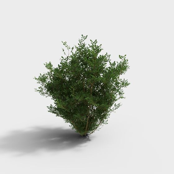 Spirit of the Forest 3D model