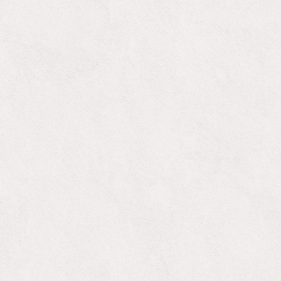 Gray Wall Paint 3D Model for Elegant Designs