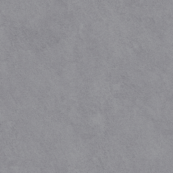 Carpoly Favito V-14 3D Model in Gray Finish