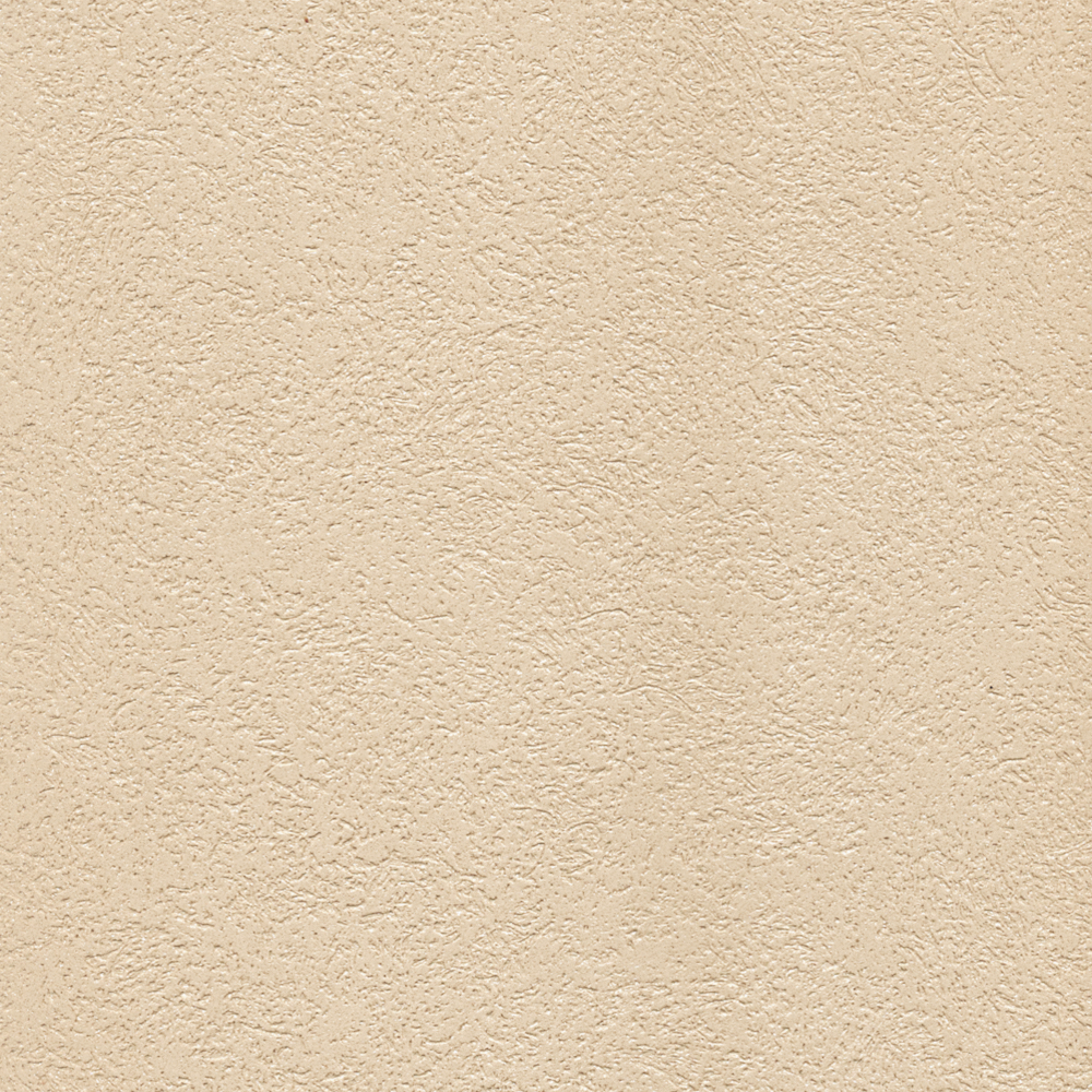 Earth Color Carpolya Spar Rubbing Pattern Wall Paint 3D Model