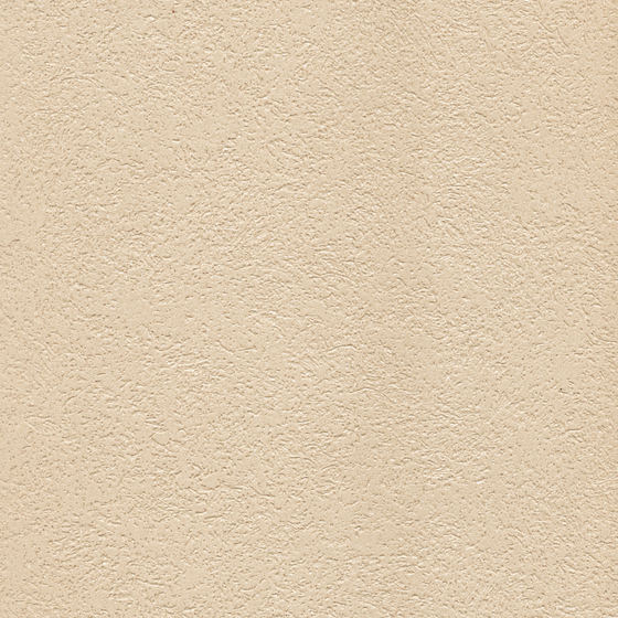 Earth Color Carpolya Spar Rubbing Pattern Wall Paint 3D Model