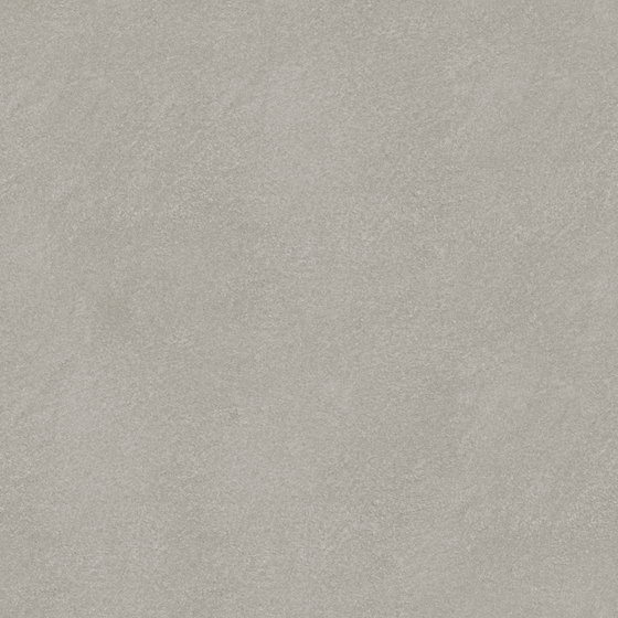 Gray Gaborrie Vifertino Brush Wall Paint 3D Model