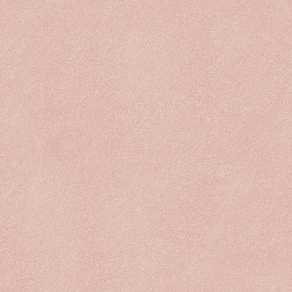 Gaborrie Viftino Brush 04