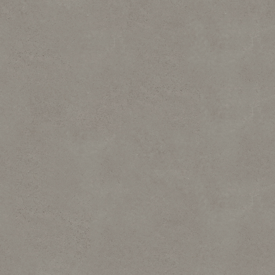 Carpoly Microcement Medium Ash Wall Paint