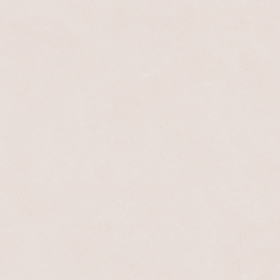 Carpoly Microcement MS-09 3D Model in Earth Color