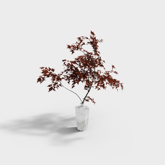 Artistic Bonsai - Autumn Maple 3D model