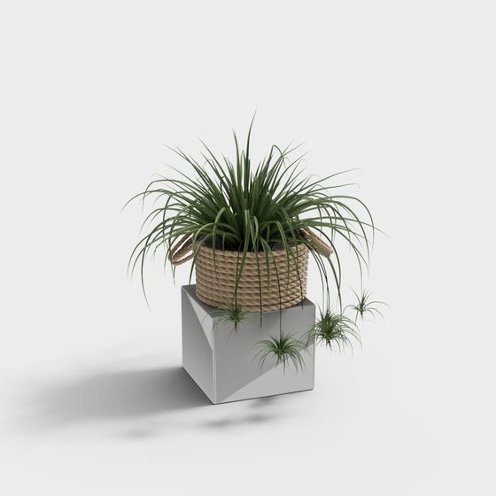 Rope Plant Pot 3D model