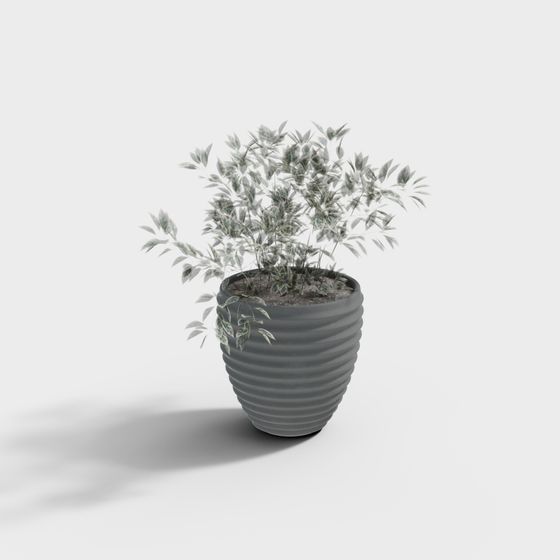 Urban Greenery 3D model for Modern Interiors