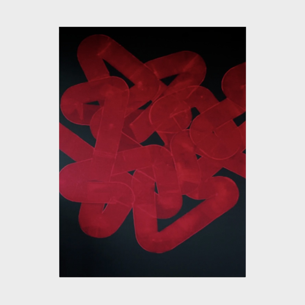 Meandering Curves 3D model