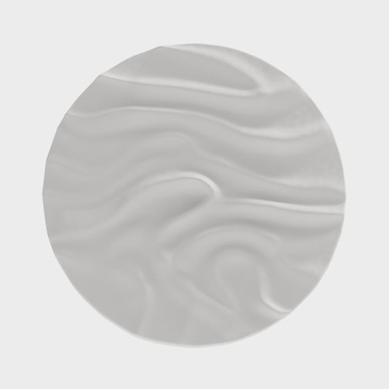 Flowing Disk 3D model