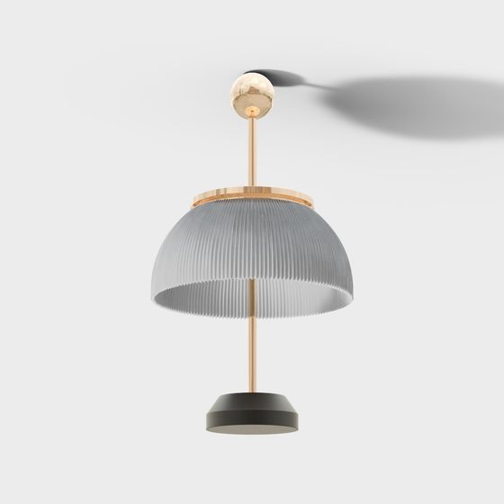 Elegant Modern Pendant Light 3D model
